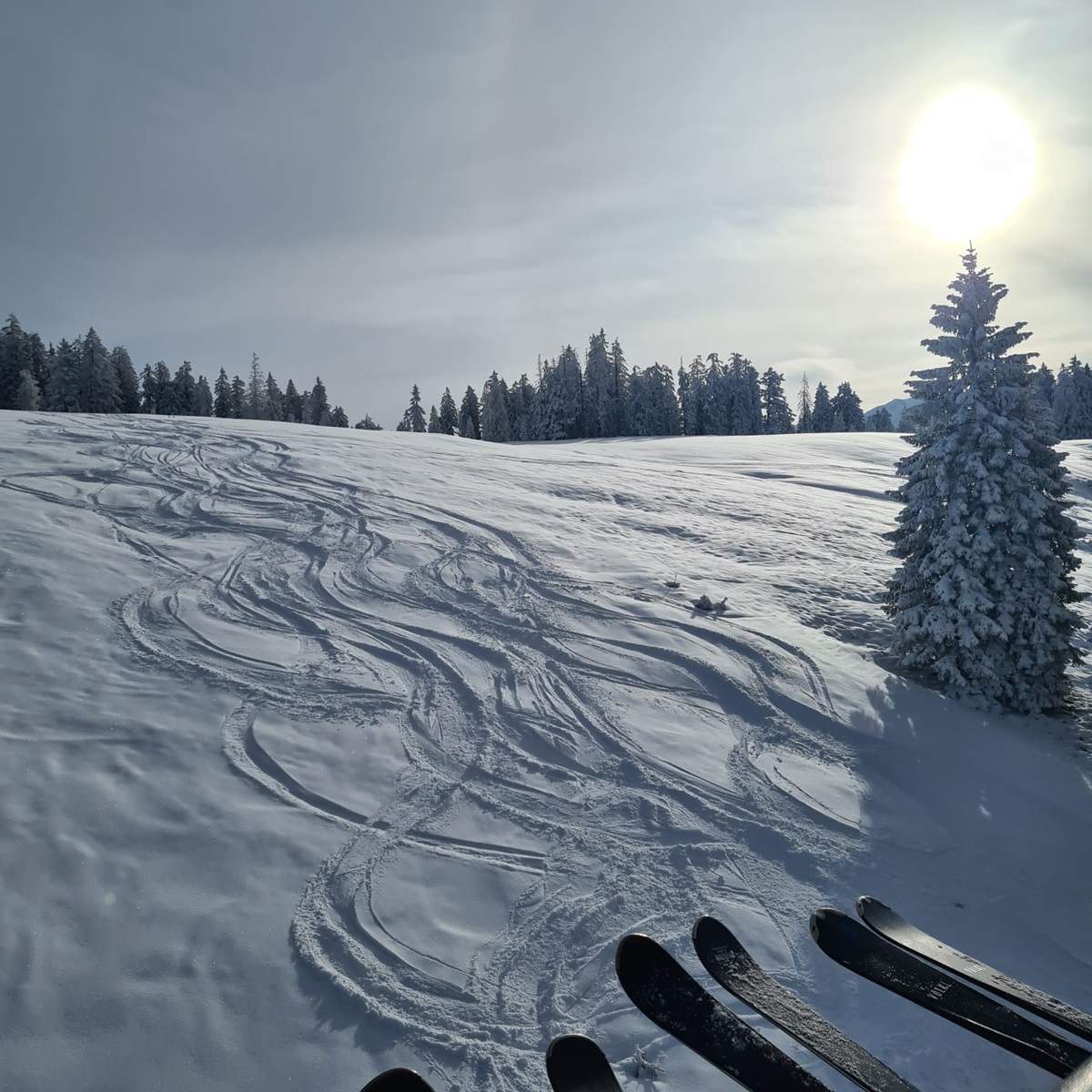 Tagesfahrt Gosau/Dachstein 2025