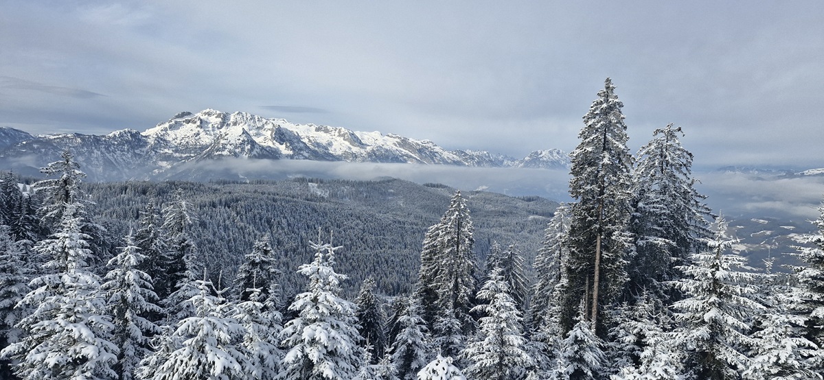 Tagesfahrt Gosau/Dachstein 2025